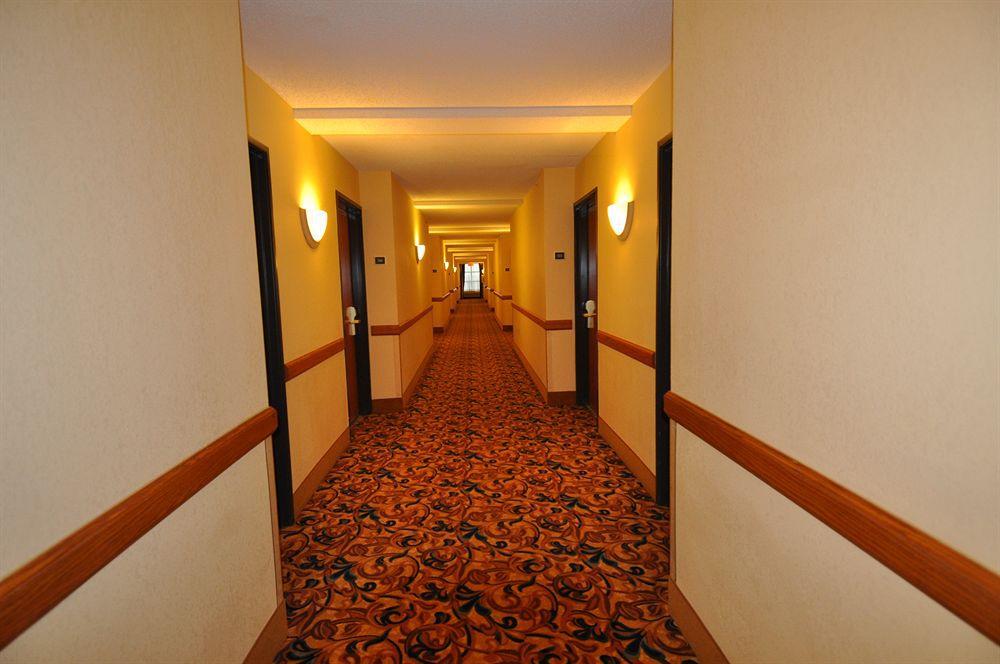 Comfort Inn & Suites New Orleans Airport North Kenner Interiér fotografie